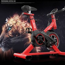 싸이클 실내자전거 사이클 스피닝 자전거 실내싸이클 접이식 홈트레이닝 스핀바이크 유소운동 나혼자산다 로건리, 블랙 레드 색상의기용+ 매트