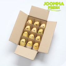 [직수입] 필리핀 카라바오 꿀 생망고 1kg 2kg 4kg 5kg, 카라바오망고 M 12과 3kg