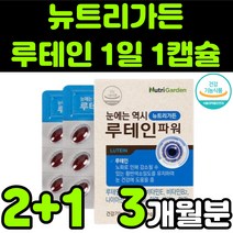 뉴트리가든 루테린 LUTEIN 뉴테인 직장인 청소년 50대 60대 부모님 비타민 A E 베타카로틴 눈 안구 건강 노안 노화 흐림 침침 영양제 추천 아연 마리골드 꽃 추출물 캡슐, 3박스(3개월분)