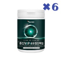 L-로이신 류신 WPH WPC 프로틴 유청단백질, 280g, 6통