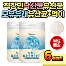 직장인 간편 섭취 유산균먹이 낙산균 모유유산균 가루 스틱 분말 쉐이크 파우더 프로바이오틱스 프리바이오틱스 신바이오틱스 프락토올리고당 락토바실러스 유산균 중년 여성 여자 남성 남자