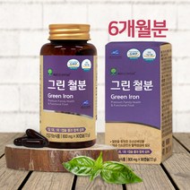 유산균 추출 그린 철분 영양제 천연 유기농 채소 과일 분말 비헴철 임산부 출산후 모유수유 성장기 아이 어린이 청소년 남성 중년 여성 철분제 추천, 2, .
