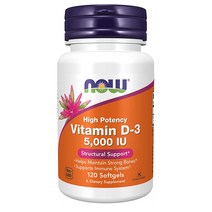 NOW 나우 vitamin D3 비타민D3 5000IU 하이포텐시 120정