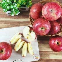 고당도 햇사과 가정용흠과 2kg 5kg 10kg, 1box, [도담_14] 가정용흠과 10kg / 소과