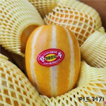 [머드러기] 산지직송 당일발송 2023 선물용 고당도 성주 꿀 참외 1.5kg 3kg 5kg 10kg, 선물용 고당도 참외, 소과, 5kg(23~27과)