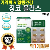 제약회사 기억력 개선 코오롱 징코 플러스 복합 기능 식품 비타B 비타민 B군 비타민비 에너지 영양제 은행잎 추출물 직장인 부모님 선물 아연 면역 징크 1개 30정 약 1개월 리얼