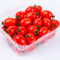 대추 방울 토마토 1.5kg 3kg, 대추방울토마토1/2번 1.5kg내외(750gX2팩), 1개