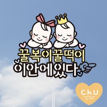 츄토퍼- 쌍둥이 아기 태교여행 만삭촬영 토퍼, 리본+새싹아기, 이안에~ 있다