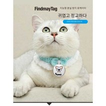 고양이 위치추적기 강아지 펫 위치감지기 반려동물 분실 방지, 강아지 (거리 제한 없음)