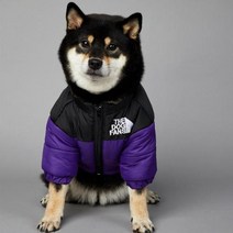 2023 SUPREPET패딩 개 겨울 옷 따뜻한 방풍 솔리드 코트 코튼 디자이너 대형 강아지 액세서리, 보라색+M