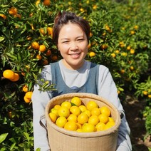 [농부들의수확]제주 노지 감귤 3kg(2S.S.M), 단품