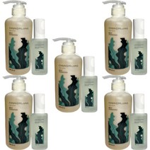 1+1+1+1+1 청미정 천연 다시마 샴푸 & 두피 에센스 유기농 샘플증정 2종, 1+1+1+1+1 천연 다시마 + 두피 에센스