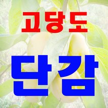 고당도 청도반시 대봉감 단감 5kg 10kg 대용량 특품 잘선별해 드립니다, 1박스, 단감10kg(대 45과내외)