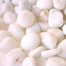 백자갈 밤알크기 3kg-수족관 열대어 어항 바닥모래/헬로아쿠아, 1개