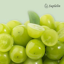인정식탁 수플린 샤인머스캣 2kg 이상 (3송이특품) -인증