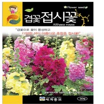 겹꽃접시꽃 씨앗 꽃씨종자(30립) MK232