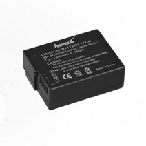 DMW-BLC12 DMW 배터리 및 충전기 파나소닉 루믹스 FZ1000 G7 G5 G6 GX8 GH2 BLC12E, 01 1x battery
