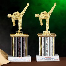 [랜드마크트로피] 태권도트로피(A형), A형-은색(i)