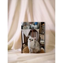 압축 아크릴액자 소형 맞춤제작 - 5x5 5x7 5x10, 실버