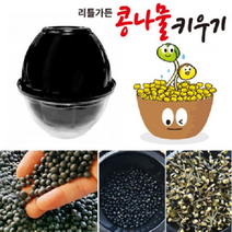콩나물키우기 키트재배기 국내산 콩포함, 상세페이지 참조
