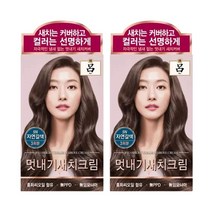 AP 려 우아채 멋내기 새치크림 5N 자연갈색 / 염색, 2개