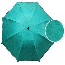 우산 파라솔
