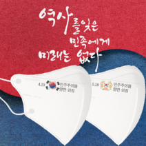 [라로] 민주화운동 마스크 2D새부리형 30매 4.19 5.18 / 인쇄마스크 / 대형/중형, Design_1, 대형