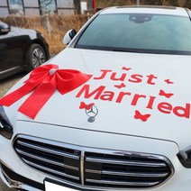 스마일컴퍼니 웨딩카 가전 자동차 선물 장식 인테리어 큐빅 빅리본 왕리본, 큐빅모던리본 아트문구세트 레드