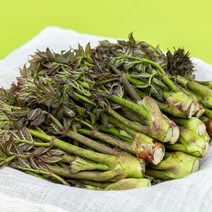 국산 두릅 150g, 5팩