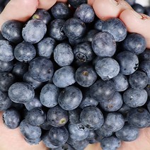 무농약 블루베리생과 블루베리 1kg 국산블루베리, 블루베리 왕왕 1kg, 1개