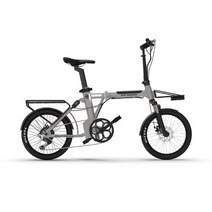 EASY RIDE 이지라이드 전기자전거 미니몬스터 20 주행거리 100KM, 블랙