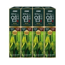 2080 해죽순 담은 염치약 플러스, 100g, 40개