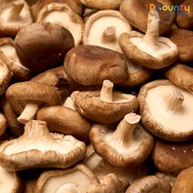 표고버섯 가격비교로 확인하는 가성비 좋은 상품 추천