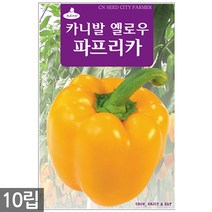 히카마 씨앗 50립 - 히카마씨앗 씨 멕시코감자 얌빈 감자씨앗 감자씨 히카마씨 얌빈씨앗 멕시코감자씨앗, 11_옐로우파프리카(10립)