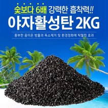 지니컴퍼니 1등급 야자활성탄, 2kg, 1개