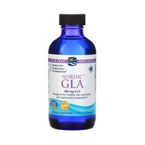노르딕 내추럴스 노르딕 GLA 감마리놀렌산 보리지오일 480mg 액상 119ml