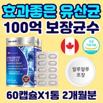 남자 남성 장 건강 유산균 100억 프로바이오틱스 캐나다 알루알루 캡슐 프락토올리고당 락토바실러스 플란타럼 람노서스 애시도필러스 PROBIOTIC 배변활동 장내 유익균 미생물 가스