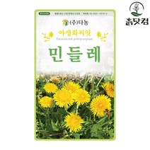 민들레 씨앗 500립 노란색 야생화 꽃씨 꽃씨앗 + 네임택, 단품
