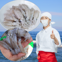 먹사부 태안 꼴뚜기 호래기 냉동 생물 꼴뚜기 회 횟감 자연산 국산, (선택1) 급냉 꼴뚜기, 500g