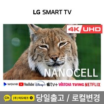 LG 49인치 4K UHD 나노셀 스마트 TV 49SM8600 리퍼, 0. 매장방문수령