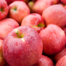 FUNET 가정용 부사 홍로 사과 3kg 5kg 8kg, 1박스, 01_가정용 소과 8kg