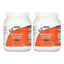 1+1 NOW Foods 나우푸드 해바라기 레시틴 순수 분말 454g 45회분, 1개, 기본