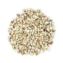 동의한재 국산 홍화씨 차 3kg 홍화자, 단품