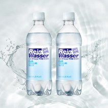 라인바싸 플레인 탄산수 500ml PET 2개세트, 2개