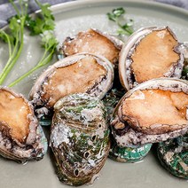 완도 활전복 1kg 산소포장 꼬마전복 프리미엄 산지직송 생전복 제철, 완도산 소 활 전복 1kg (35미 내외)