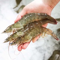 국내산 대왕 흰다리새우 1kg 생물 대하 냉동새우 손질, [급랭]국산 손질새우 500g