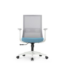 린백 사무용 컴퓨터 책상 의자 LB17M, LB17MW-화이트바디, 블루