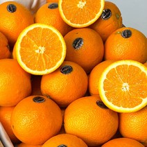 [당도선별] 블랙라벨 오렌지 과일 가정용 선물용 업소용 대용량﻿, 09.오렌지M (40과)