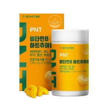 PNT 비타민B 하트츄어블 X 1박스, 없음