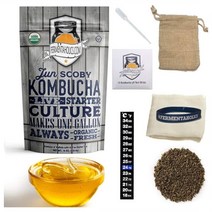 Fermentaholics Kombucha 퍼멘타홀릭 준 스코비 콤부차 만들기 제조 스타터 키트 1갤런용 15oz 425.3g